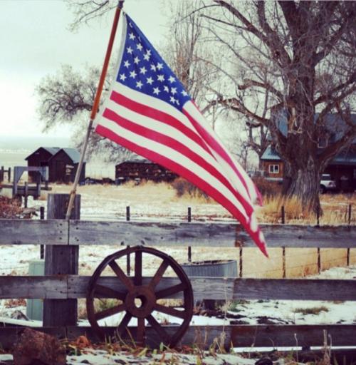 Screenshot_20220421-180334_2