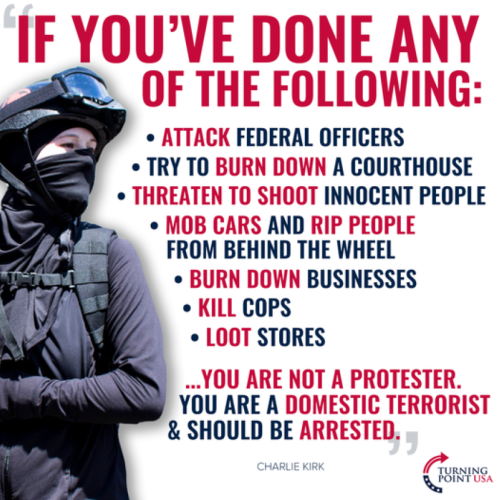 Domestic Terrorst (1)