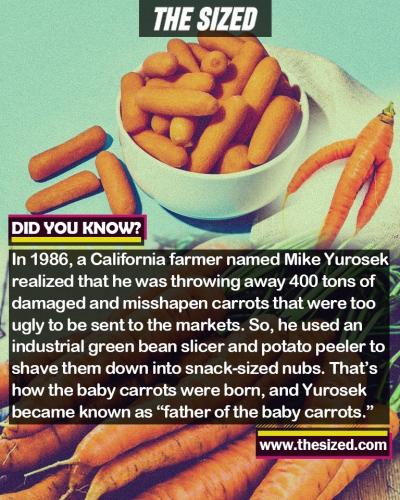 298054129_590277239205264_7420849174816595350_n