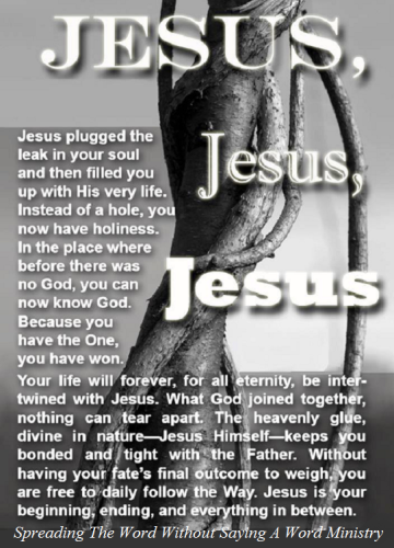 297320480_1411588662669429_5765834085123686314_n