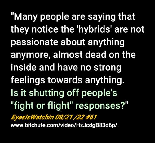 Screenshot_2022-08-22-18-22-34-045_cn.wps.moffice_eng~2