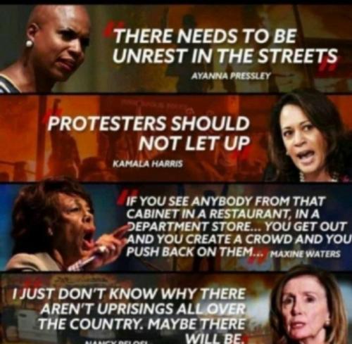Violence Dems 1
