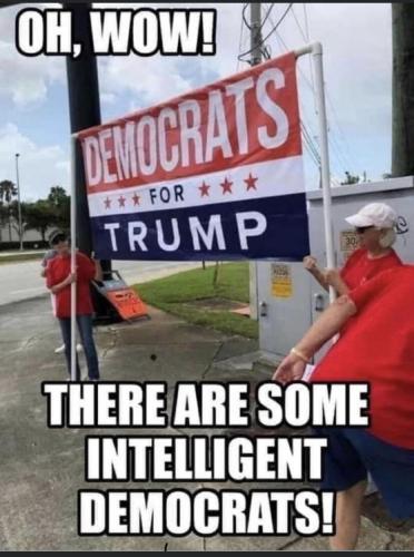 Dems for Trump 1