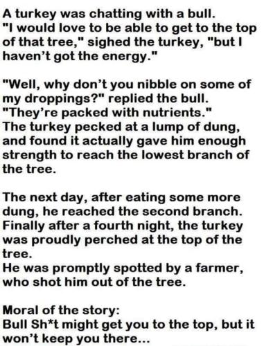 302290747_607549390811970_7369443717773685710_n