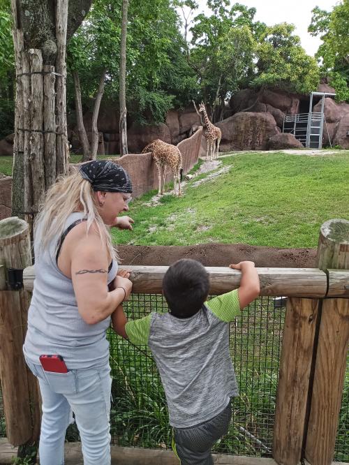 IMG_20220715_122232_4