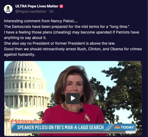 Pelosi 1