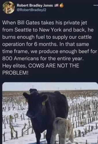 FB_IMG_1660276068995