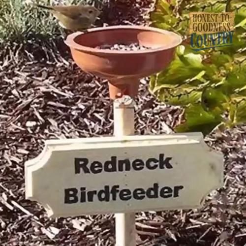 292616594_5717869264925201_8159087209175726467_n