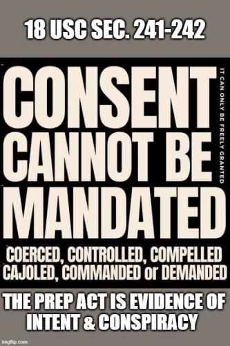 Consent 18USC 241-242