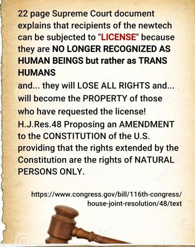 Screenshot_2022-08-06-17-50-01-165_com.google.android.apps.photos~2