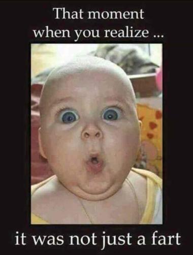 a1-e59873ad600bf8b90d8109c2449a9a02_1024