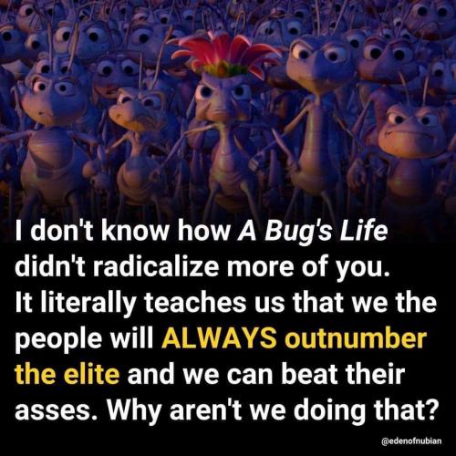 FB_IMG_1659640078404