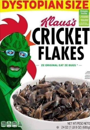 FB_IMG_1661315935260