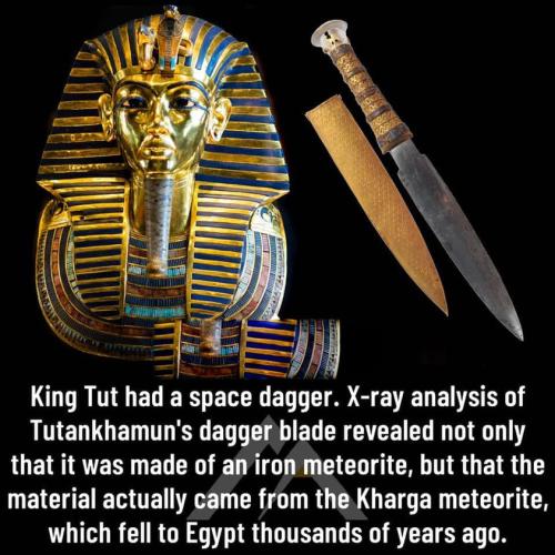 292185487_113970471371226_2451394761375789497_n