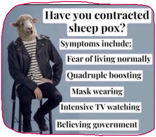 snapshot_mewe.com_1659465405064