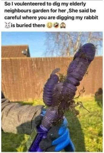 FB_IMG_1661867135167