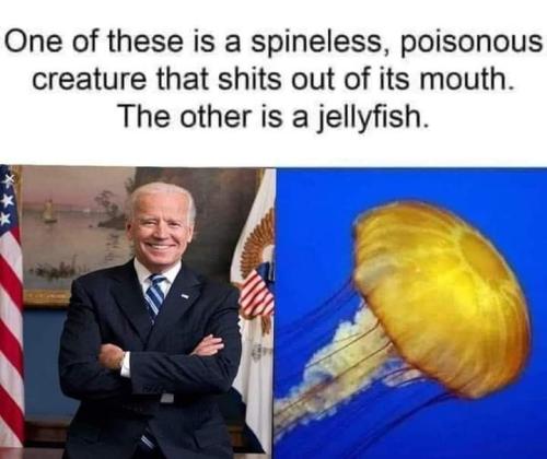 FB_IMG_1661017816999