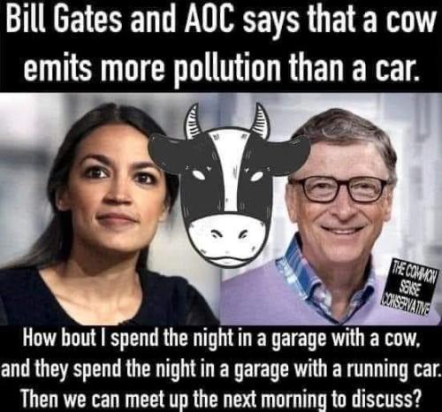 FB_IMG_1659458989121