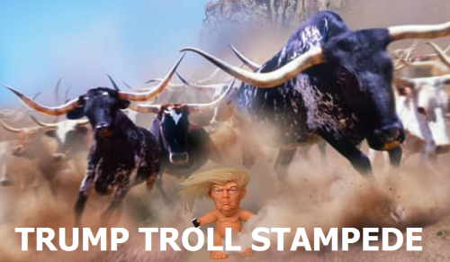 295852016_644338263236353_3105375607418498799_n