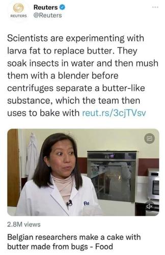 FB_IMG_1660689726642