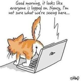 FB_IMG_1659671831960