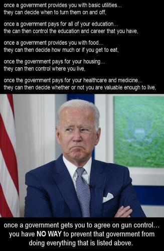 gun control208