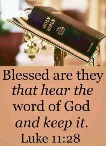 FB_IMG_1659924186364