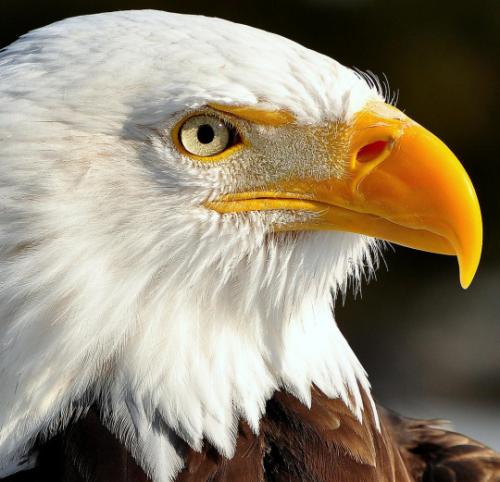 tumblr_mbzm1wFKIt1rz1st5o1_540