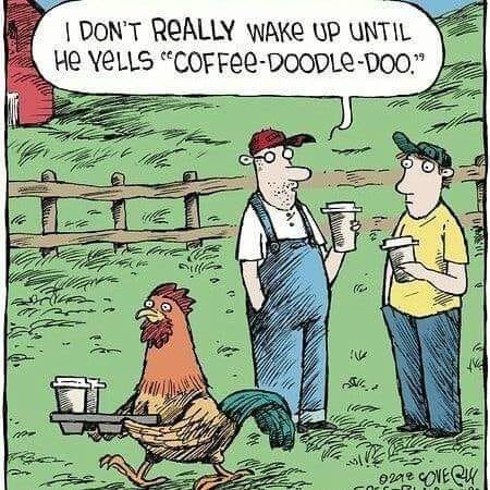 300497341_195586452928649_4754557303705986636_n