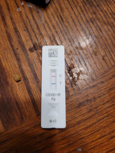 20220803_105059