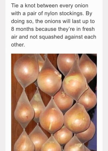 299121648_5269073133187887_4391812242495968629_n