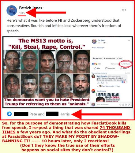 fb shadow bans ms13