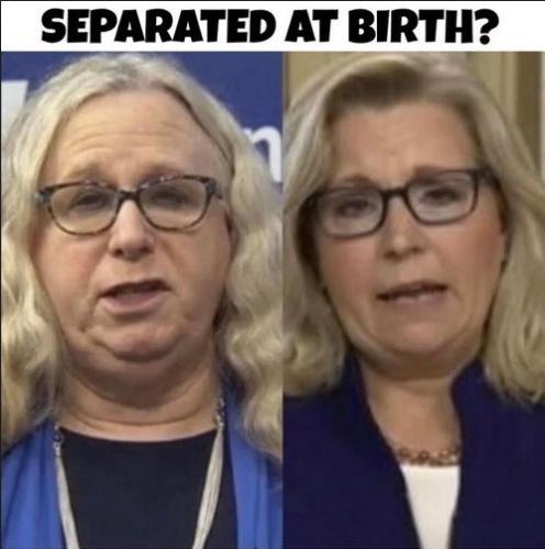 liz cheney11