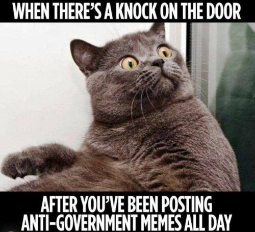 IMG_20220825_033443_170