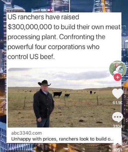 25cKE6pqKsFQWEW719Ni_02_cdc211e1a7d97639c969ac734ab5a601_image