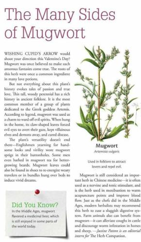 20:06:57 GMT-0500 (CDT)