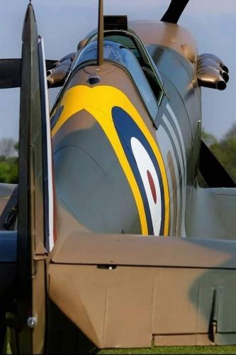 297099429_133415632727411_1591955507199826798_n