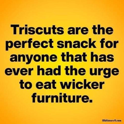 FB_IMG_1660176610721