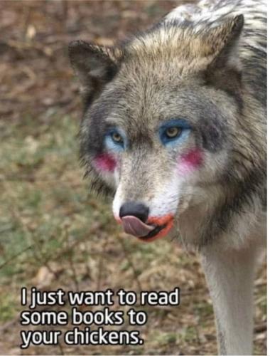 87d0e899-2aa4-4525-b066-3cf2c3979e93