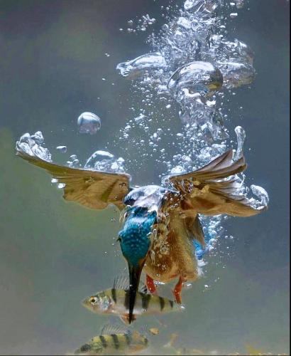 296457387_809347683765739_6814652323267282491_n