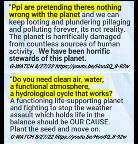 Screenshot_2022-08-30-14-36-17-928_com.google.android.apps.photos