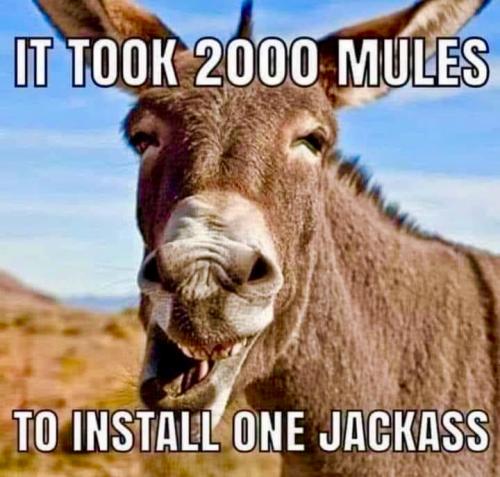 13E4C418-B8AC-47B0-A4AB-EA92612FCE14