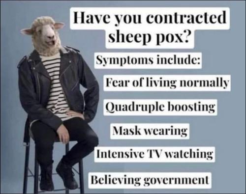 sheeple58