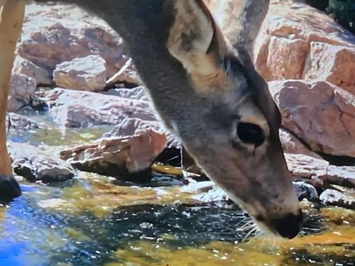 A4722870-ED93-4610-AE44-4EAAE9492B86