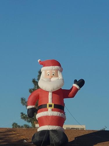 20201219_155020__storage_emulated_0_DCIM_Camera_20201219_155020