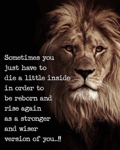 FB_IMG_1660580032461