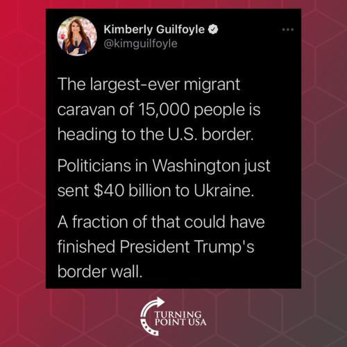 Illegals 1