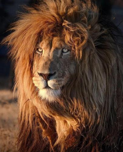 297188428_8140186409332562_960296273185337080_n