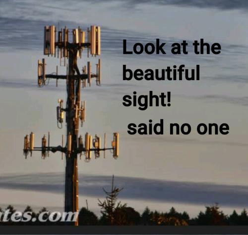 Screenshot_2022-08-09-06-58-47-527_cn.wps.moffice_eng~2