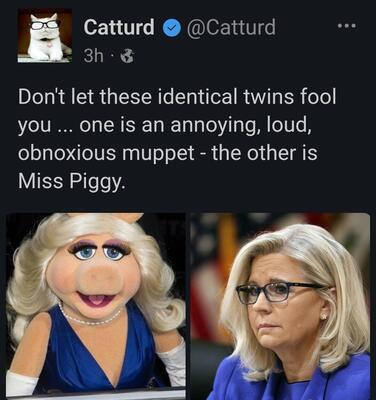 img - 2022-08-07T175429.326